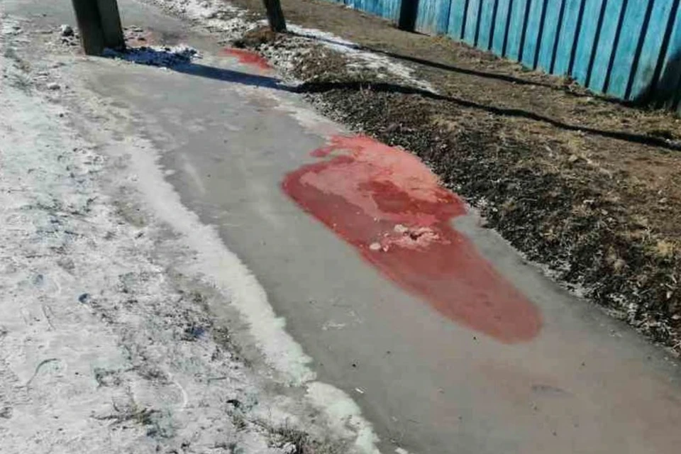В Бурятии раскрыли секрет кровавой воды. Фото: Мухоршибирь-инфо.24/7.