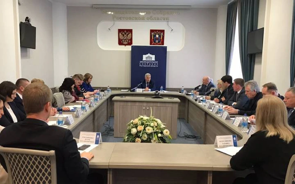 В донском парламенте прошло обсуждение доклада о соблюдении прав человека и деятельности Уполномоченного по правам человека в регионе в 2022 году. Фото: пресс-служба ЗС РО