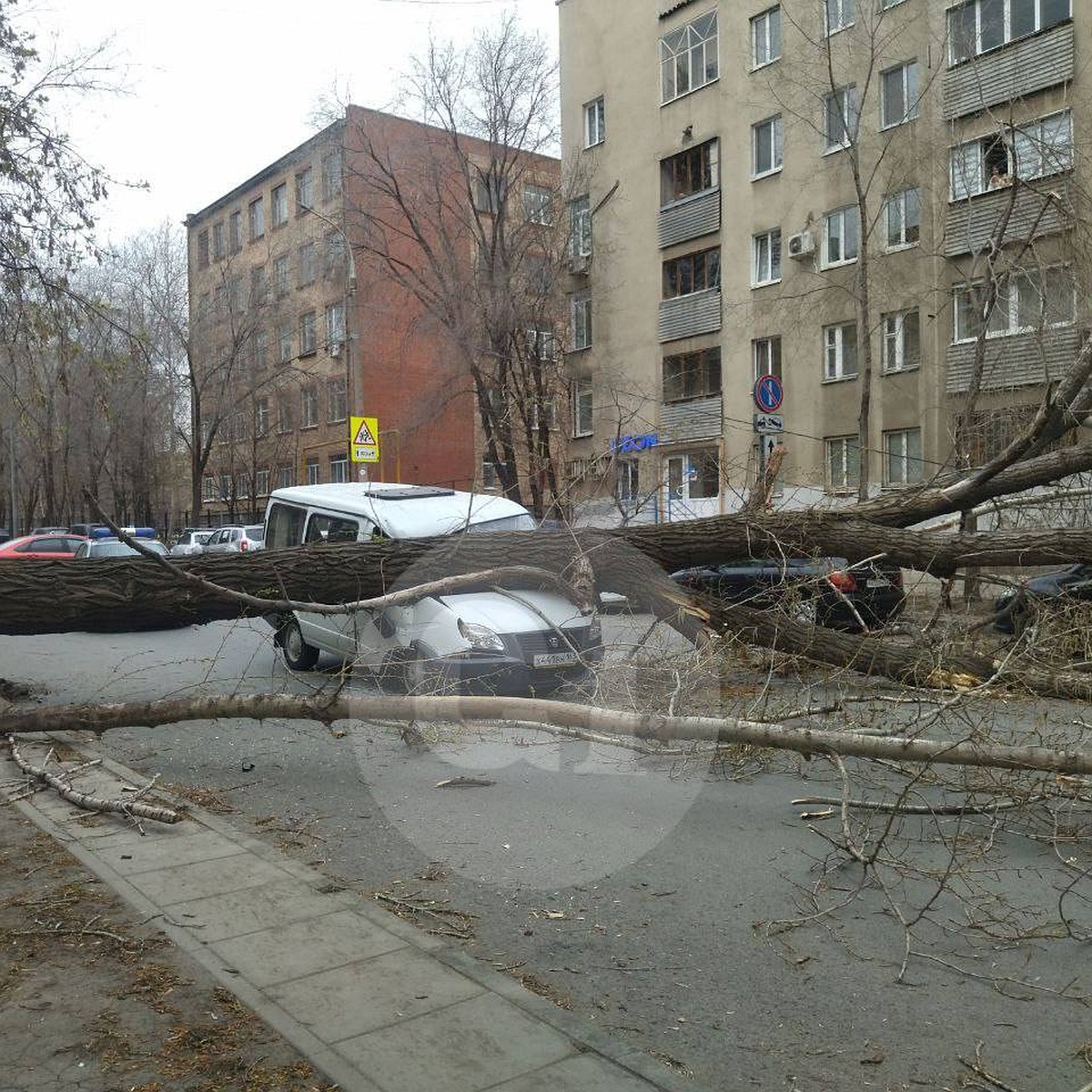 Поваленное ураганным ветром дерево придавило два авто на ул. Арцыбушевской  в Самаре - KP.RU