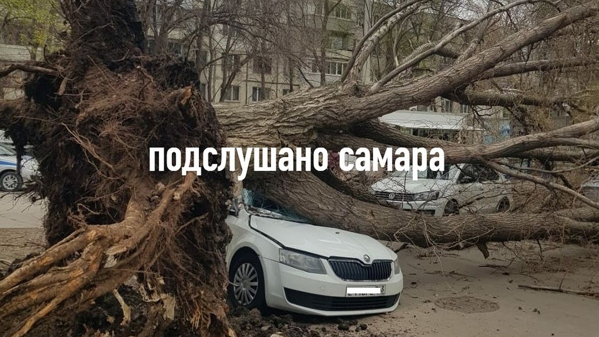 Ураганный ветер повалил дерево на несколько машин на ул. Ташкентской в  Самаре 14 апреля 2023 - KP.RU