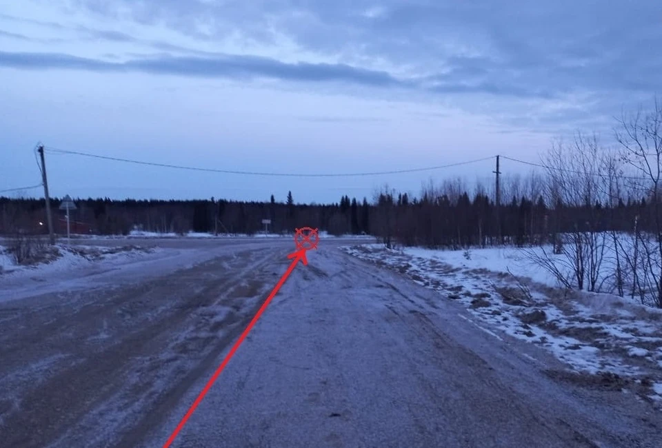 Фото: управление ГИБДД по Коми