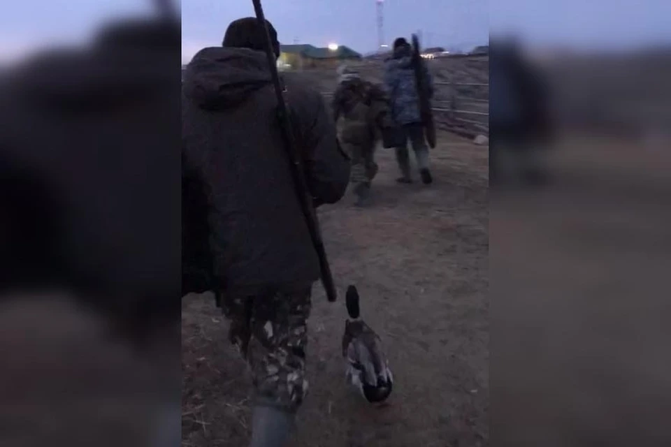 Фото: скриншот видео