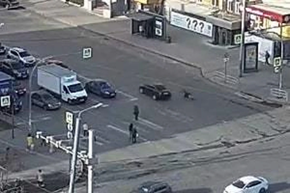 Перень на самокате попал под колеса автомобиля. Фото: Интерсвязь