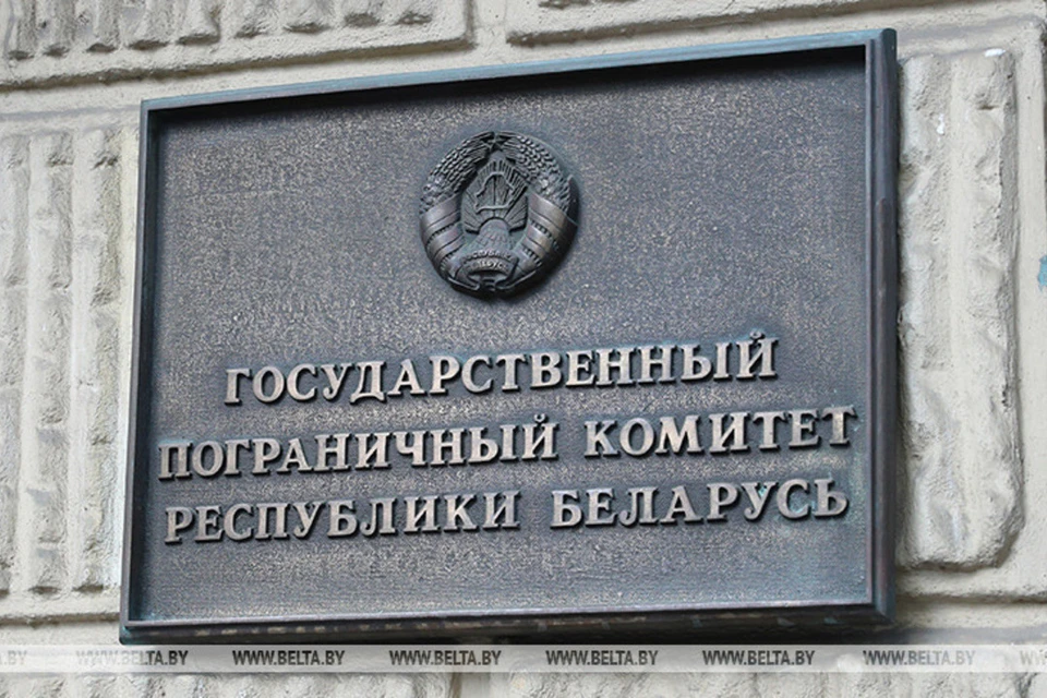 В Беларусь из Польши пытались провезти контрабанду медприборов на 83 тысячи рублей. Фото: БелТА