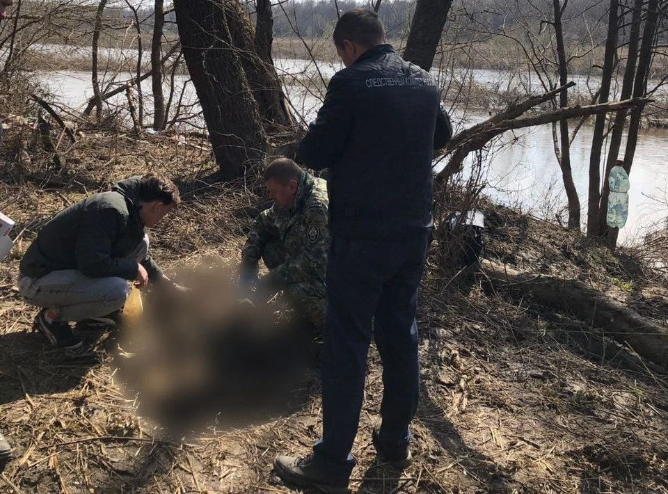 Назначены экспертизы.