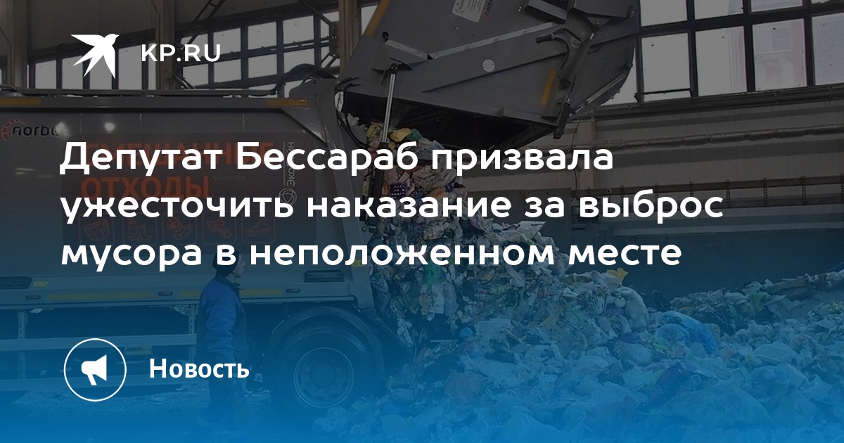 Депутат Бессараб призвала ужесточить наказание за выброс мусора в ...