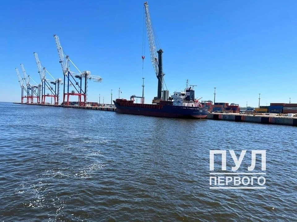 Строительство белорусского порта под Санкт-Петербургом в Бронке. Фото: телеграм-канал "Пул Первого"