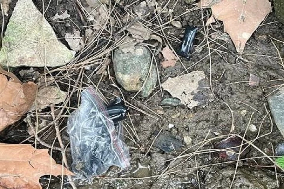 Возбуждено уголовное дело.