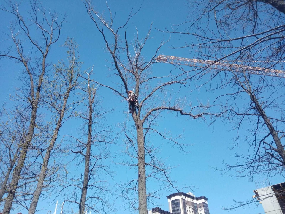Фото городского управления экологии