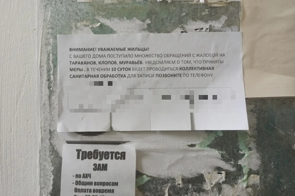 Фото: предоставлено «АиФ-Томск» героем публикации