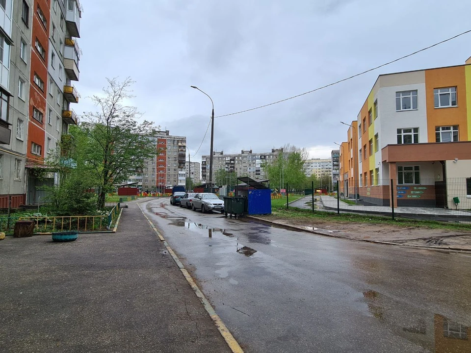Один труп кошки нашли возле забора детского садика.