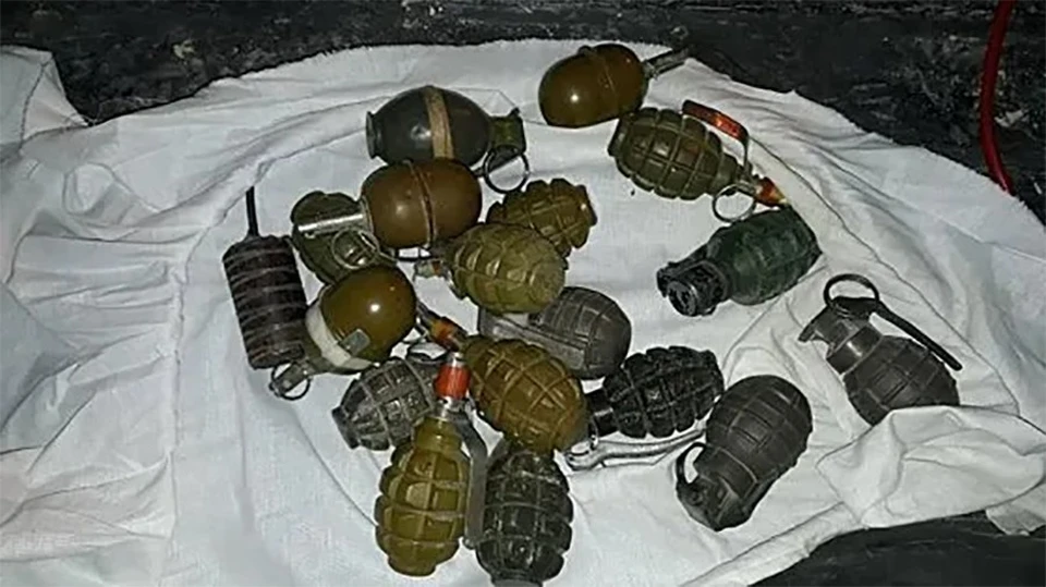 Она утверждает, что не знала о содержимом рюкзака.