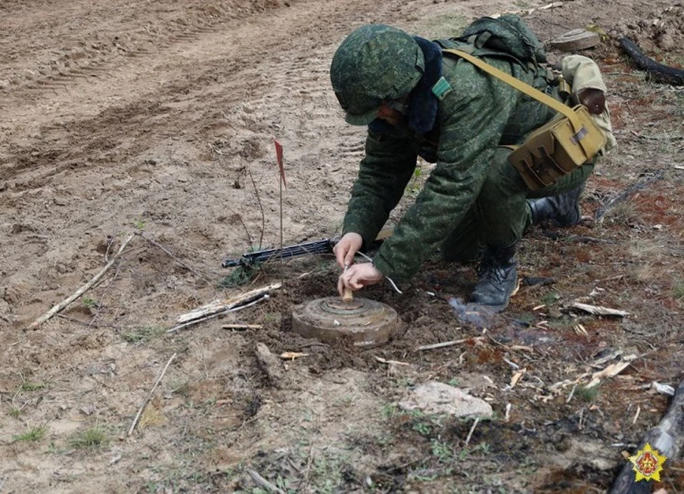 Белорусские военные проводят разминирование местности. Фото: Константин Белявский | «Ваяр»
