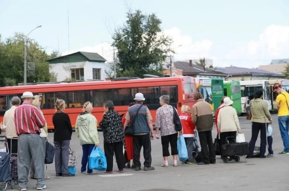 Автобусы