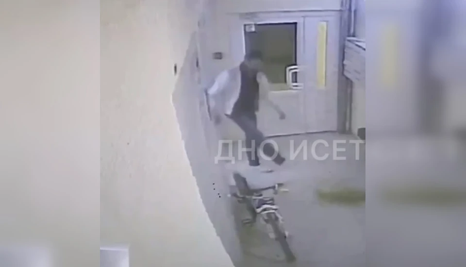 После этого он выкинул животное в мусорку. Фото: скриншот видео паблика "Дно Исети"/tg