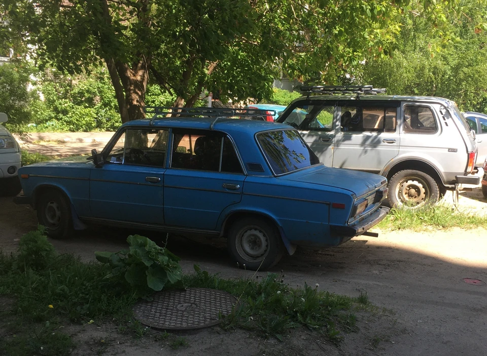 Фото: grad.kostroma.gov.ru