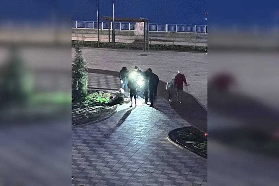Дебошира скрутили и передали сотрудникам полиции / Фото: vk.com/tlt_01