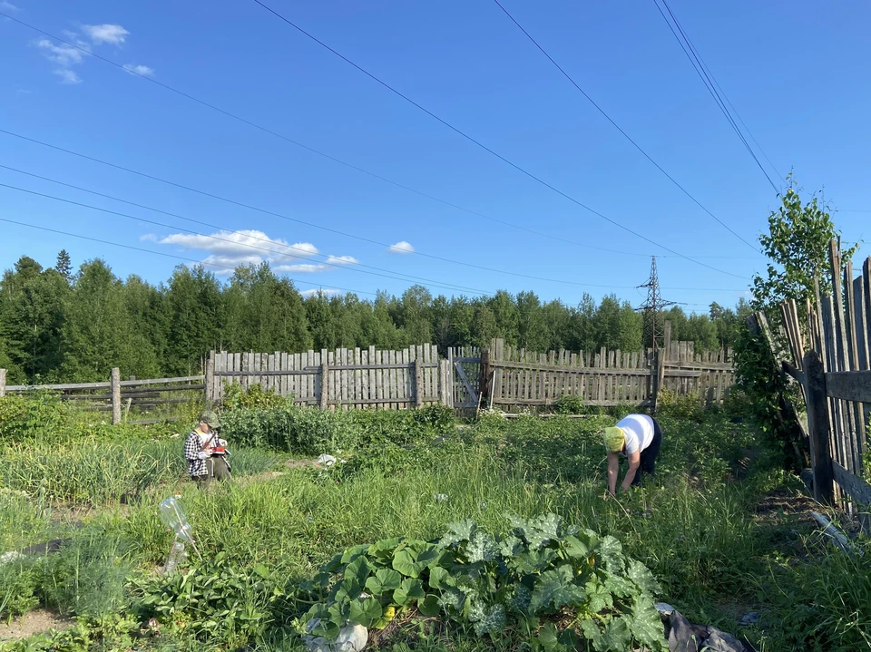 Изменения в законодательстве позволяют заменить выделенный участок, если в нем найден объект культурного наследия.