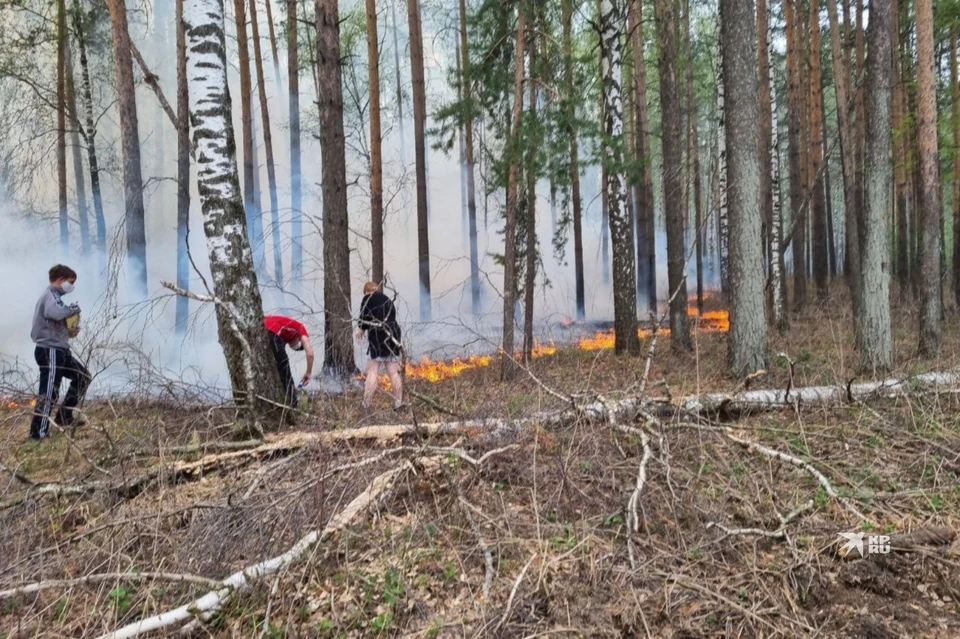 Борьбу с возгораниями ведут пожарные и добровольцы