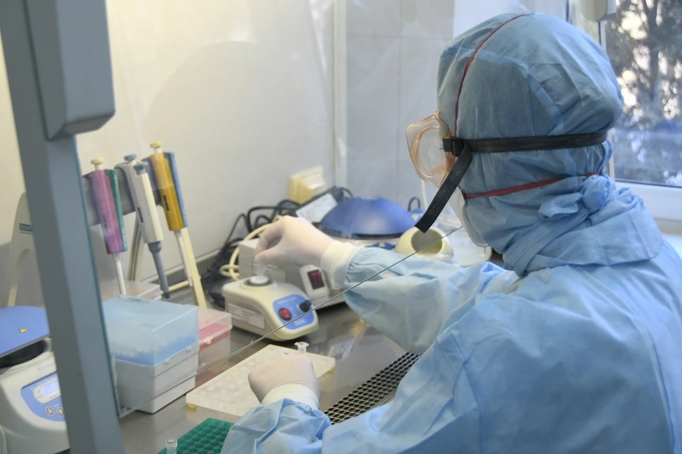 Коронавирус в Тульской области: 6 новых случаев заболевания за последние сутки на 12 мая