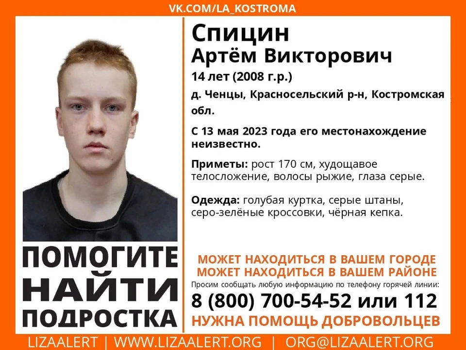 Фото: ДПСО "Лиза Алерт" Костромской области