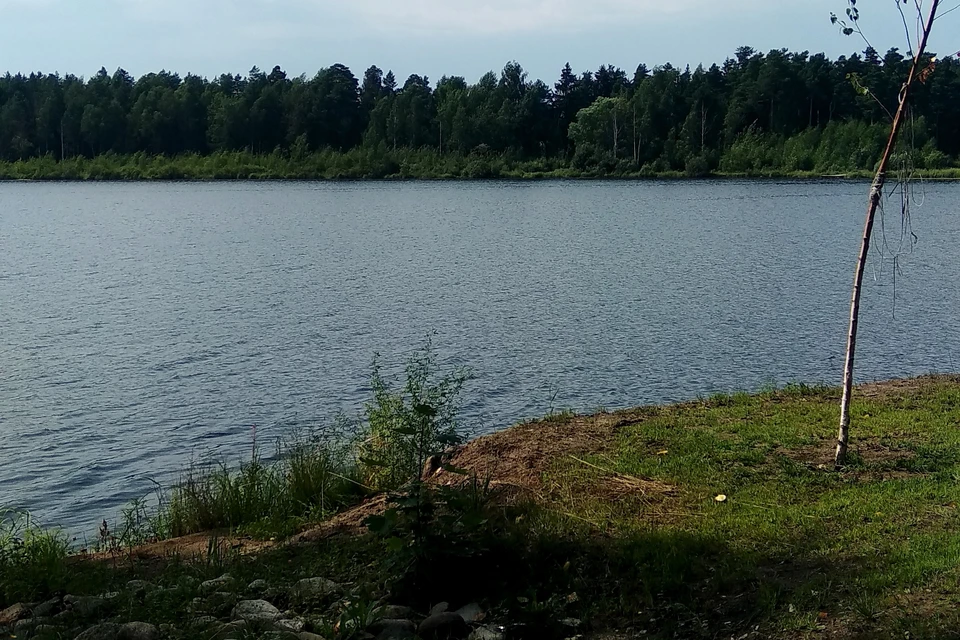 Липчанку, собирающуюся в отпуск, обманули мошенники