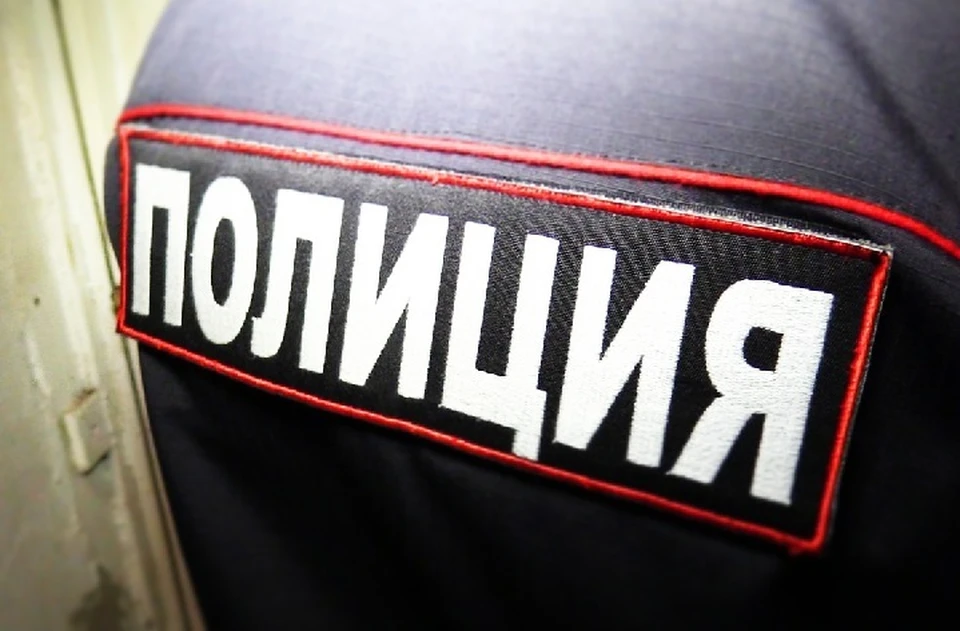 Полицейские начали разбирательство по делу об избиении подростка в Макеевке. Фото: МВД ДНР