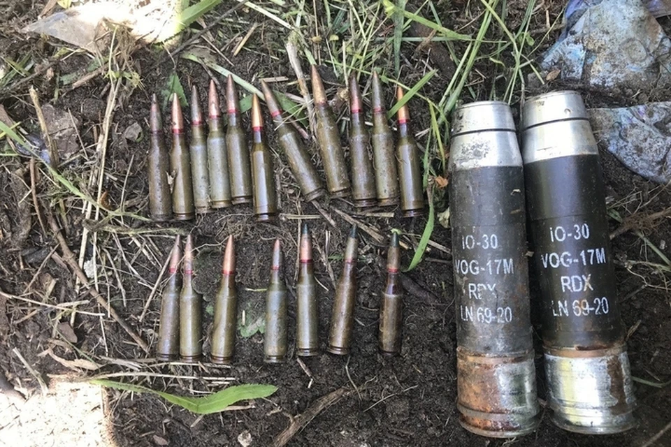 Схрон с боеприпасами обнаружили в 200 метрах от села Сосновка. ФОТО: МВД МЕДИА