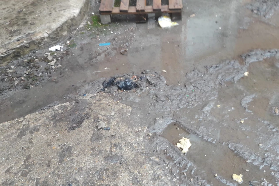 Вода после дождей уходит во двор жилого дома. Фото: Народный фронт
