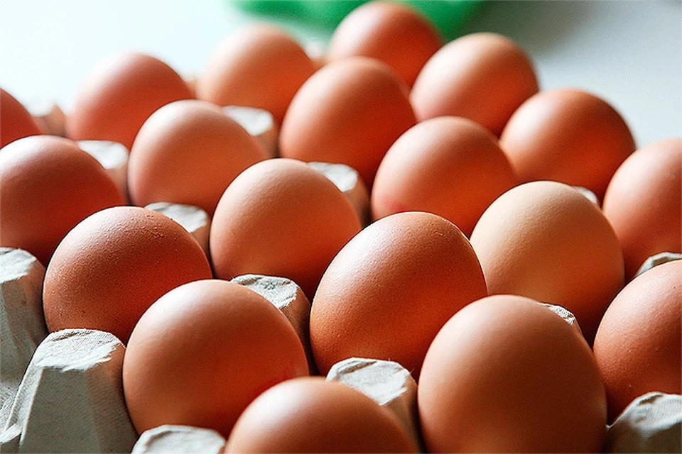 Обнаруженный в Москве птичий грипп не передается через яйца и мясо птицы