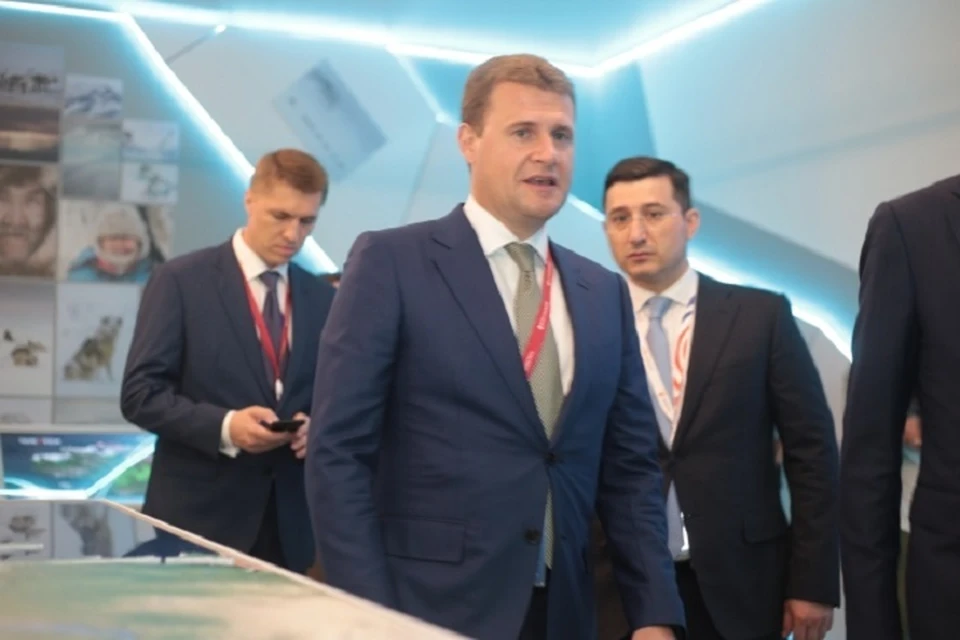 План развития СМП до 2035 года представлен пятью основными разделами