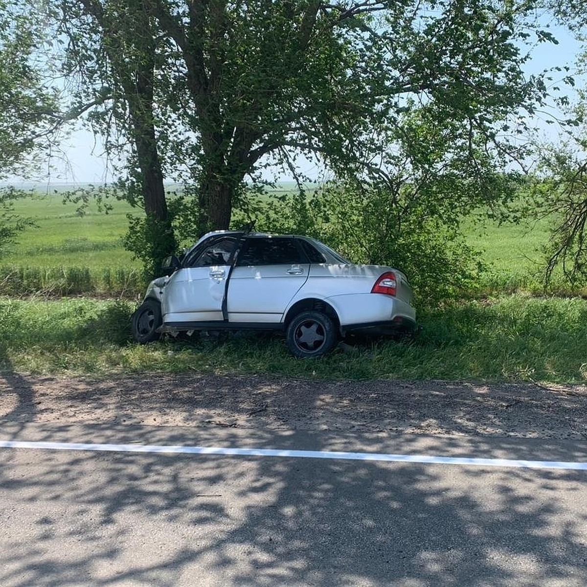 В Крыму «Лада Приора» врезалась в дерево, водитель погиб - KP.RU