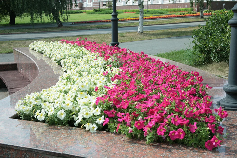 Цветы в Ижевске