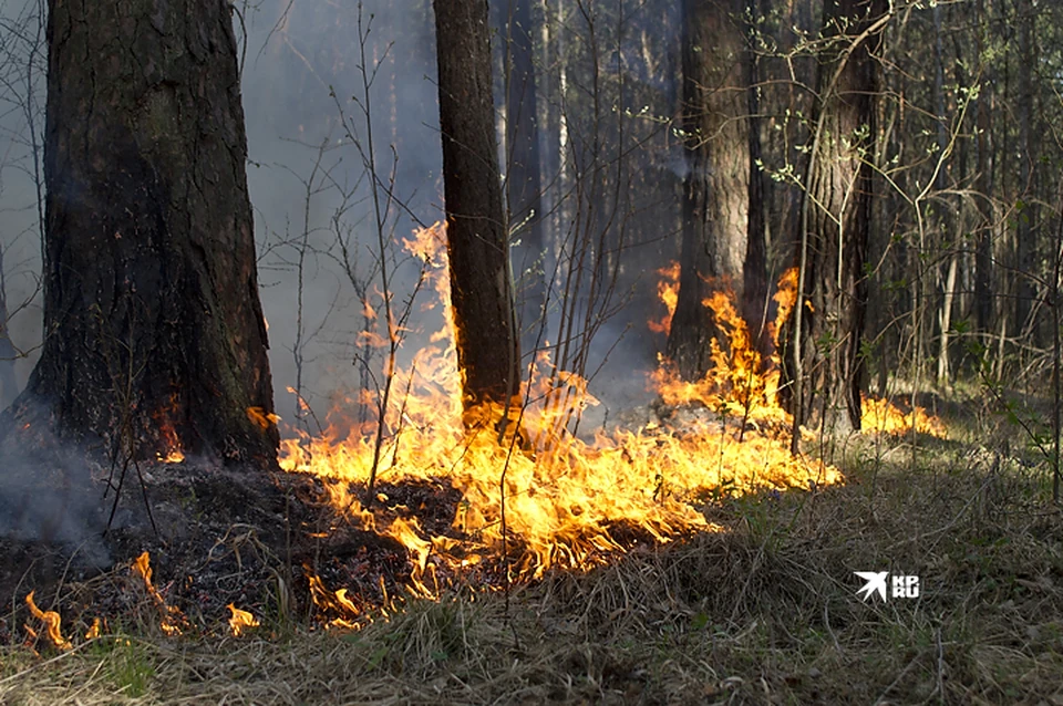 Лес горит в Свердловской области почти месяц