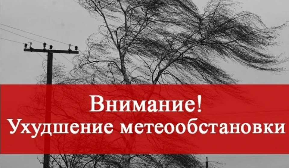 Фото: Спасатели Костромы