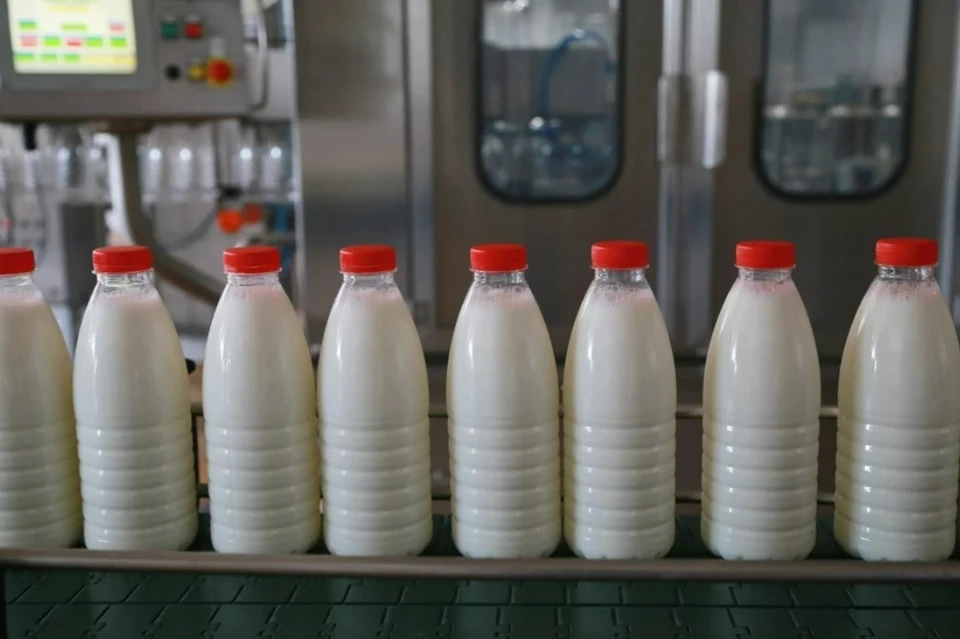 Кубань занимает первое место среди регионов России по производству питьевого молока Фото: Мария ЛЕНЦ
