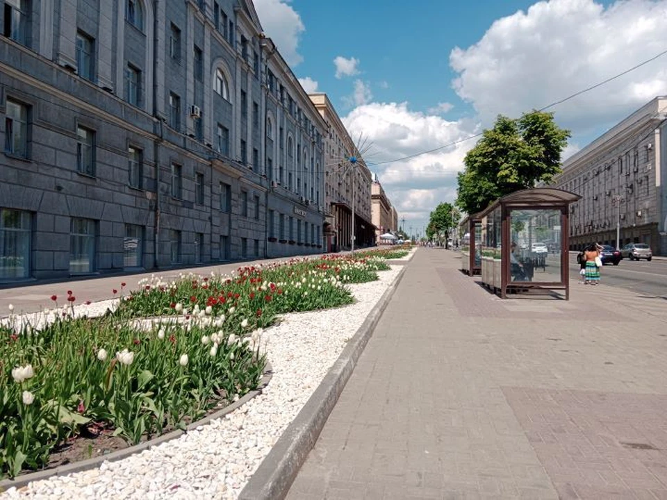 В городе высаживают цветы