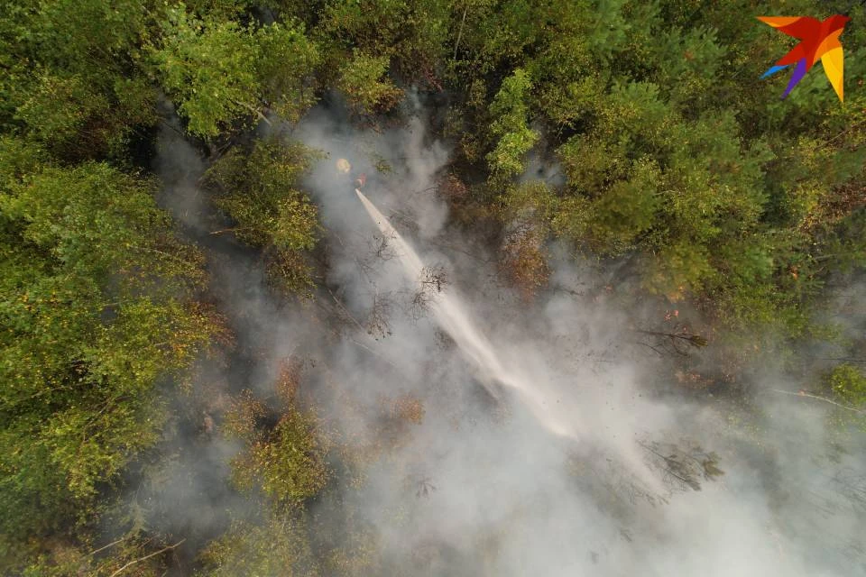 В Мурманской области случились первые лесные пожары в 2023 году.