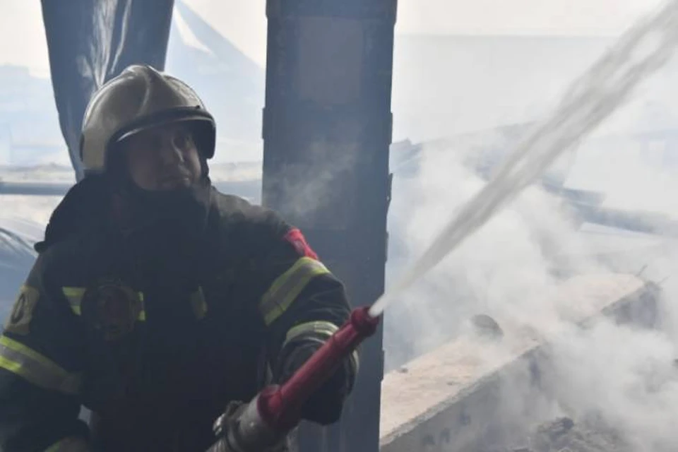 В Забайкалье проживший в лесу 14 лет бездомный мужчина устроил пожар