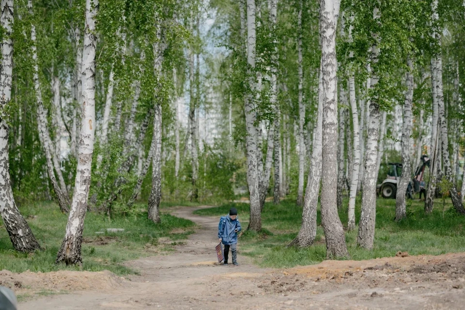 Через рощу шумную. Тропинка через березовую рощу. Тропинка в березовой роще. Рощица для детей. Дети в роще.