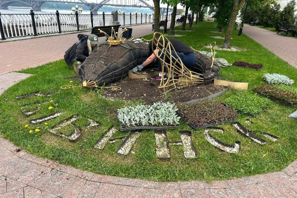 В Рыбинске начали создавать Царь-рыбу из цветов
