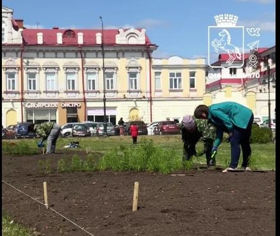 На Новособорной площади высаживают цветы. Фото: скриншот видео мэрии Томска