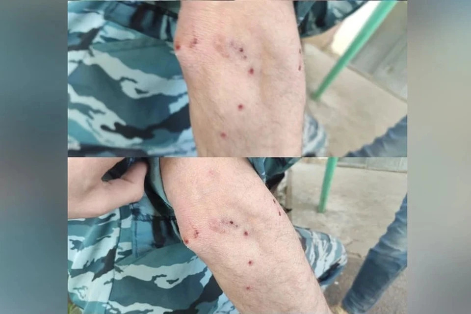 Полицейские сообщили, что злоумышленника задержали и доставили в отдел. Фото: Оренбург очевидец