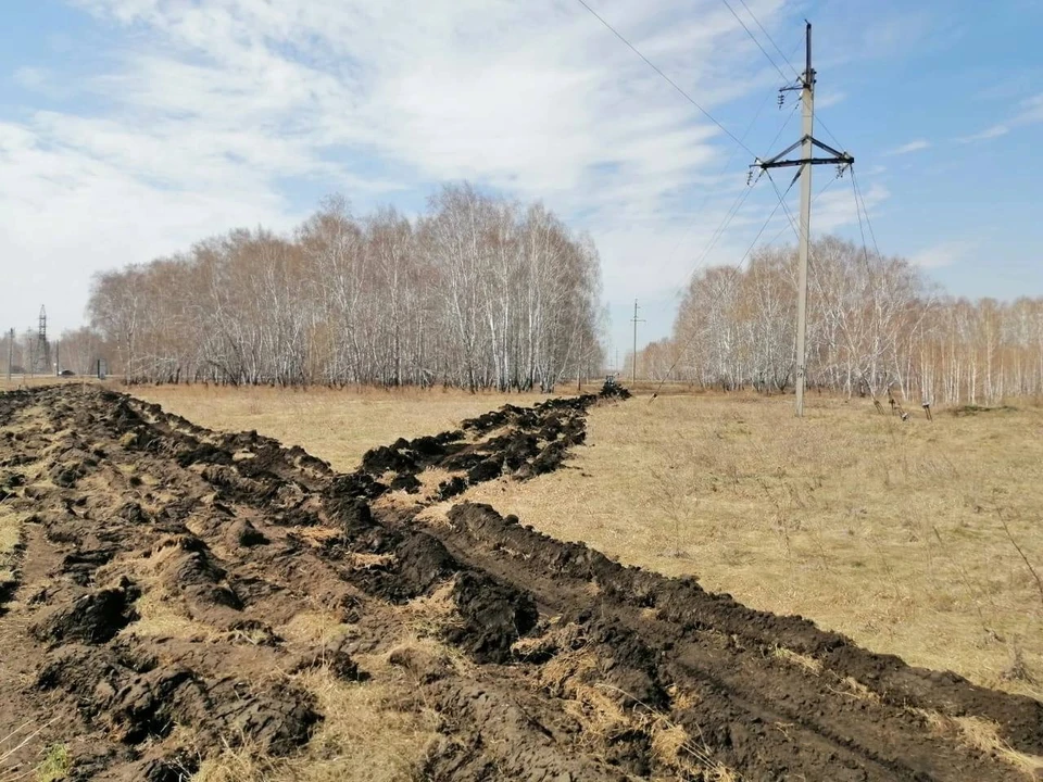 Фото: пресс-служба мэрии Омска.