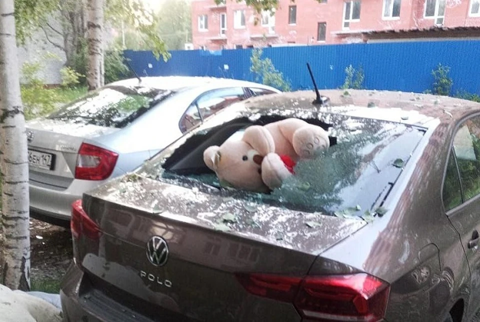 Вылетевший медведь разбил припаркованный автомобиль. Фото: администрация Всеволожска
