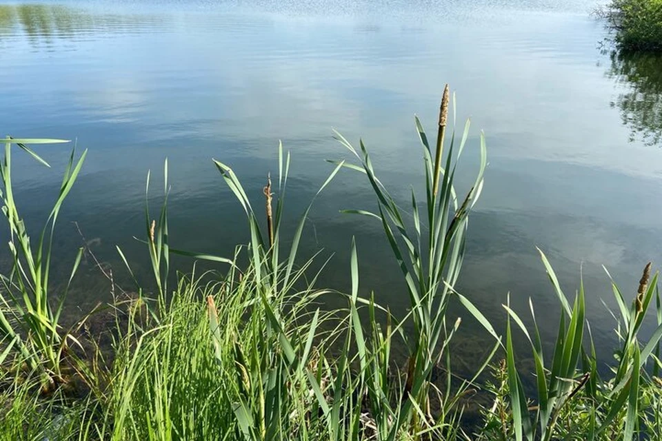 На месте происшествия работали водолазы.