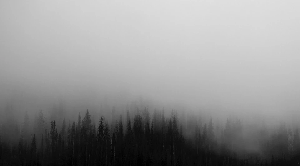 Фото: pxhere.com.