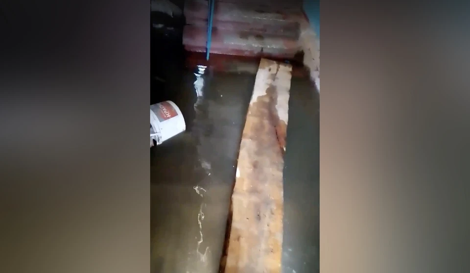 Фото: скриншот видео, предоставленного пабликом «ЧП Омск» во «ВКонтакте».