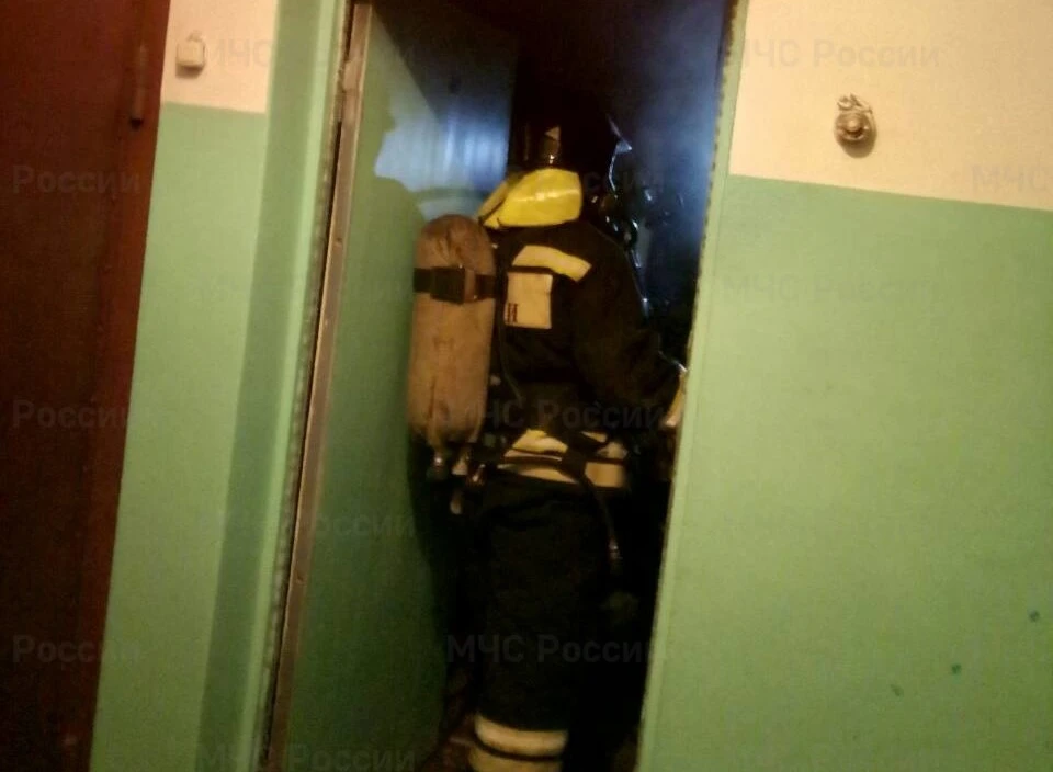 Об этом рассказали в МЧС.