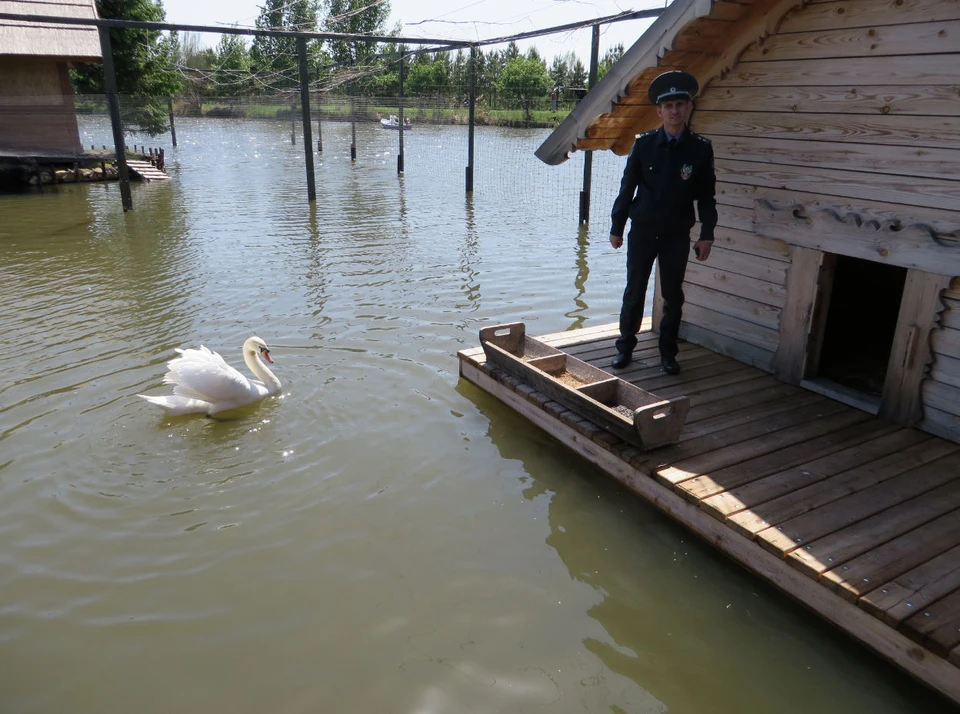Фото: Россельхознадзор